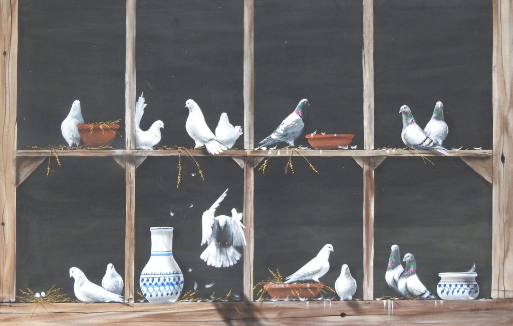 Irfan, Oil on canvas, 42 × 66 (OGK1743)