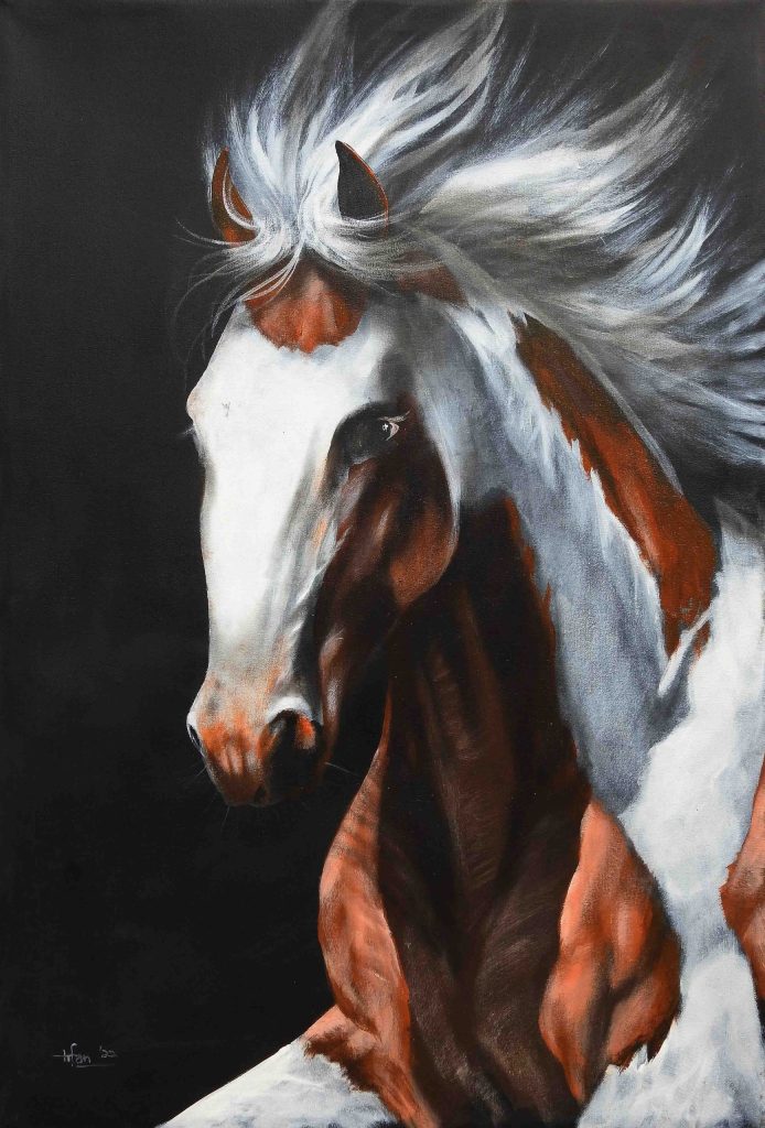 Irfan, Oil on canvas, 24 × 36 (OGK1123)