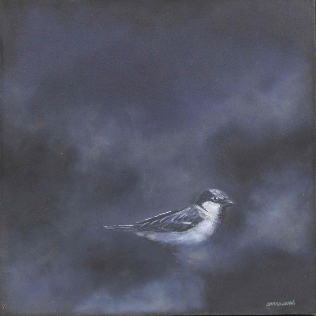 Amna Waqas, Oil on canvas, 15 × 15 (OGK2003)