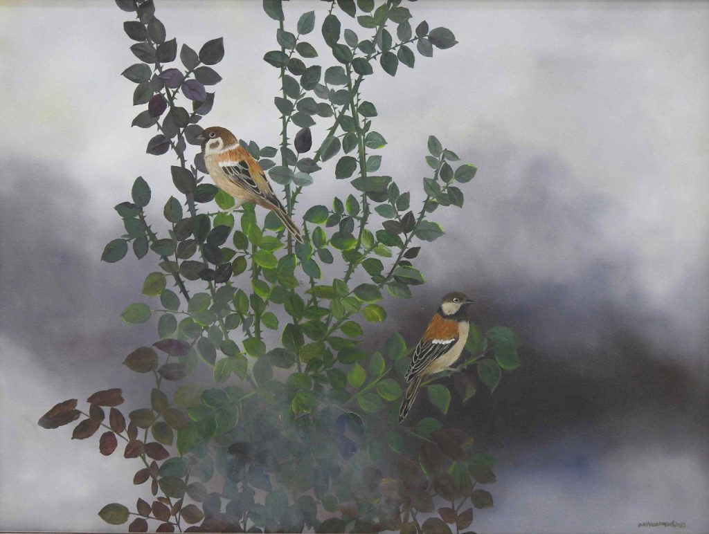 Amna Waqas, Oil on canvas, 18 × 24 (OGK2004)