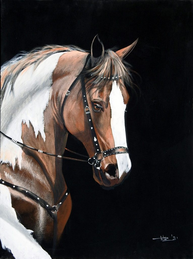 Irfan, Oil on canvas, 30 × 24 (OGK827)