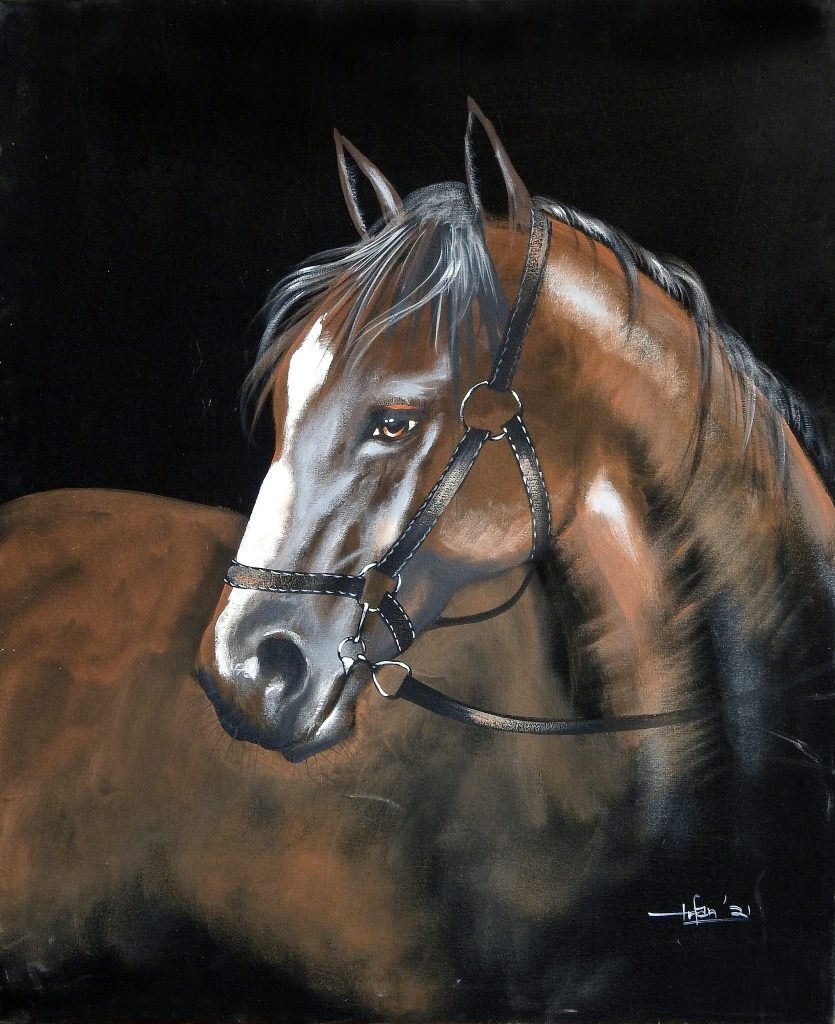 Irfan, Oil on canvas, 30 × 24 (OGK829)